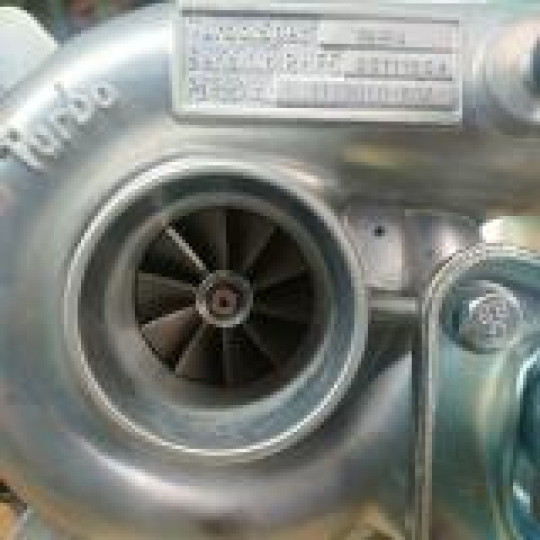 RHF4 